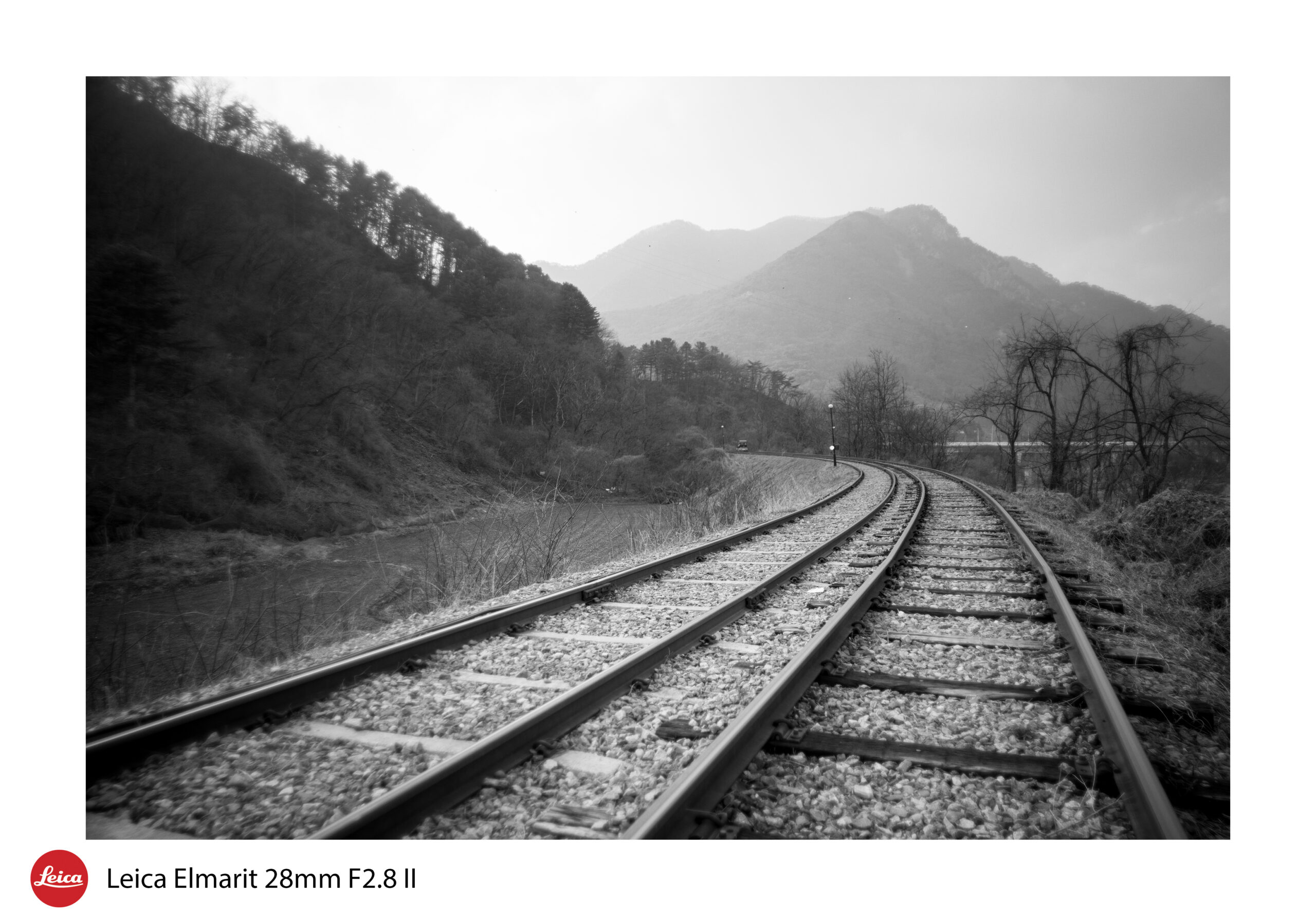 A Journey Into The Fog